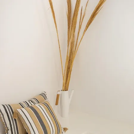 Nausithoe 1 Paros * Λογαράς