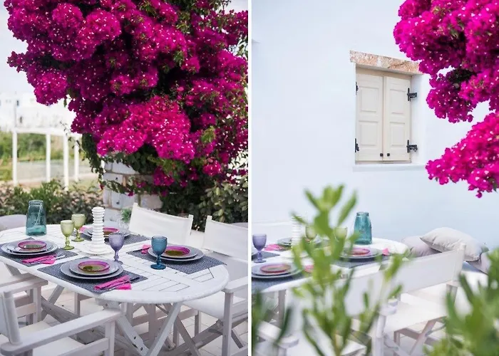 Espressiva * Logaras